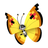 Vivillon (Continental) - Pokestar